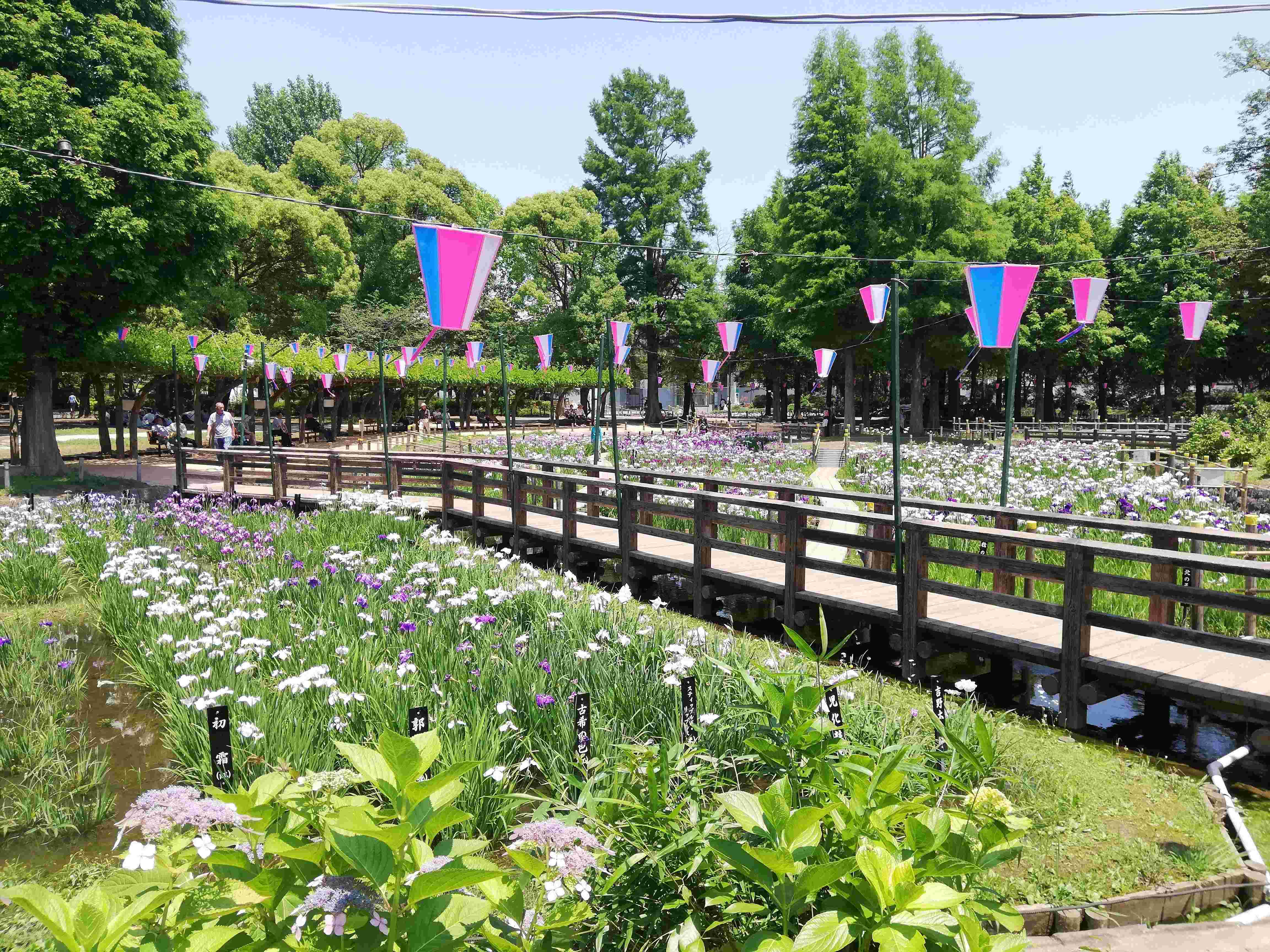 🏞️ 시로야마 공원 이미지 10